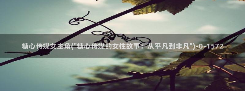糖心vlog软件是正规的吗
