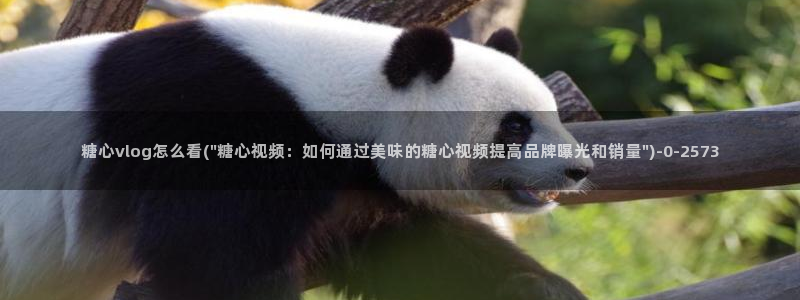 糖心vlog免费版在哪下