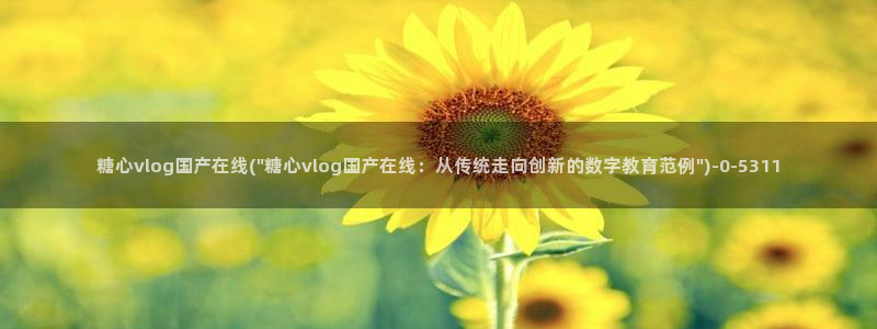 糖心vlog51