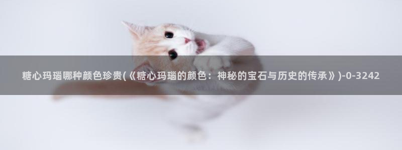 糖心vlog国产剧