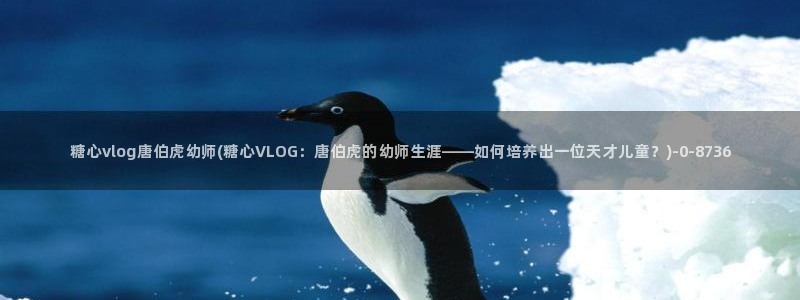 心糖vlog 破解版
