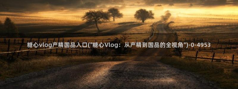 糖心vlog入
