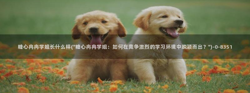 糖心恬恬vlog在线观看