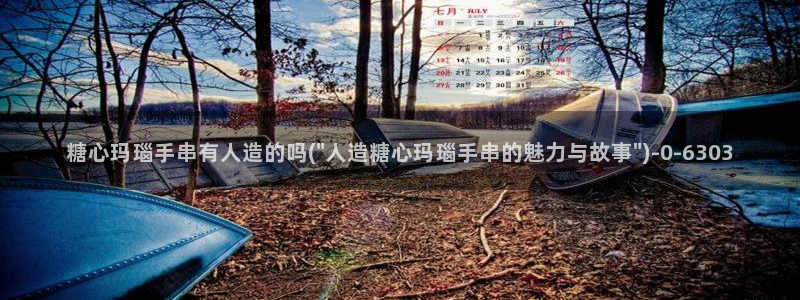 糖心vlog新入口
