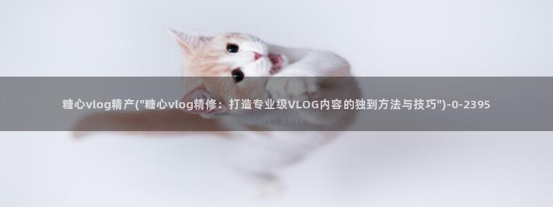 糖心vlog的