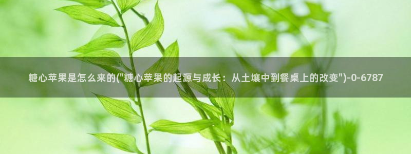 vlog糖心