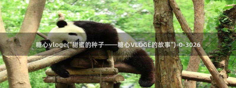 糖心vlog所有作品